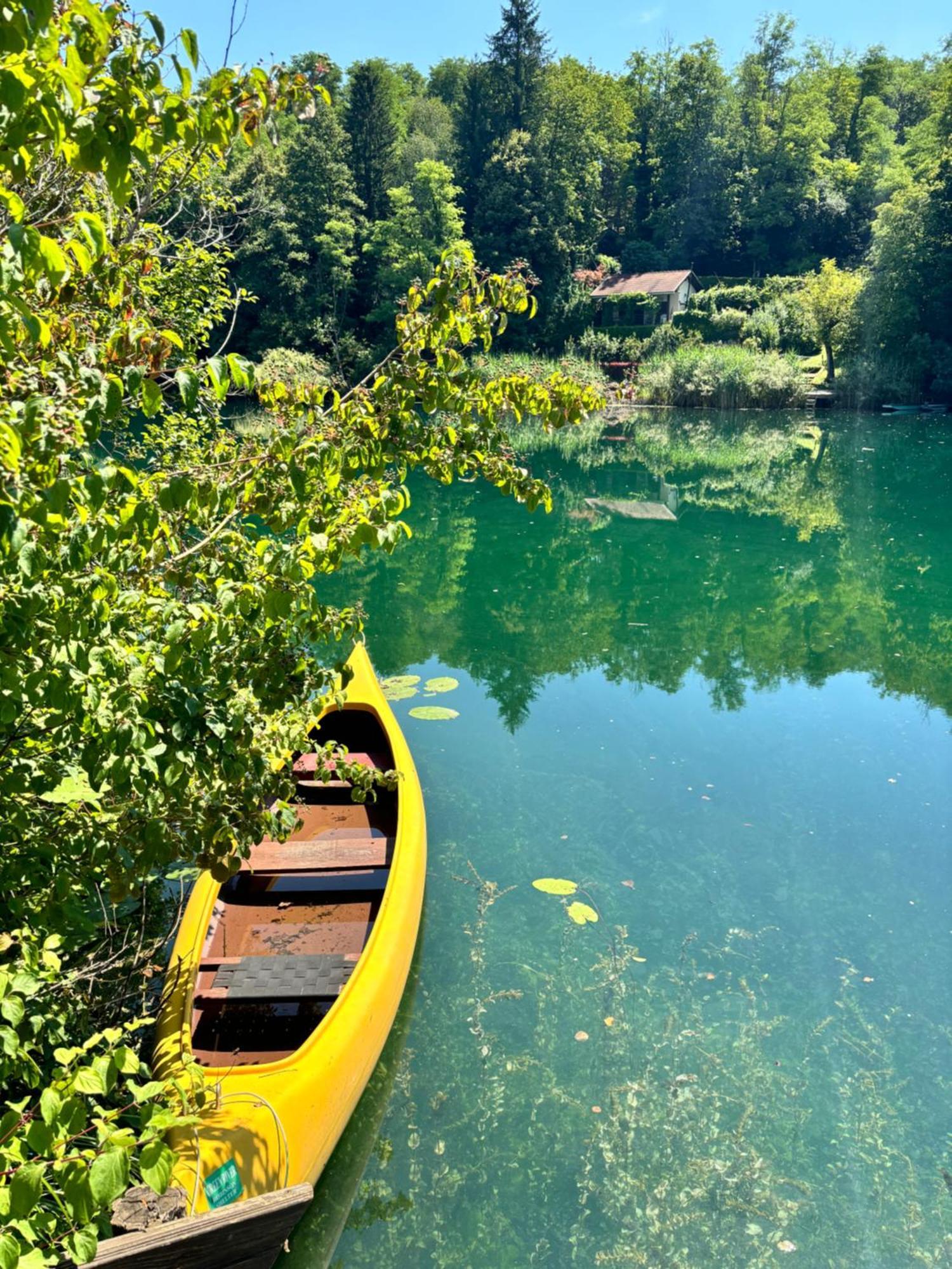 Green River - Robinzonski Kamp Hotell Duga Resa Exteriör bild